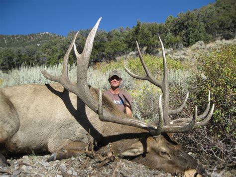 Hunt Nevada 2024 .
